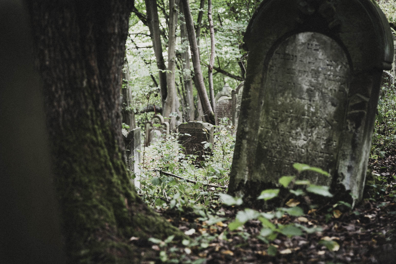 Nentershausen (Hessen), Jüdischer Friedhof